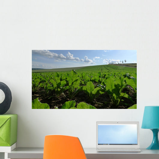 Sugar Beet Field Wall Decal