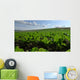 Sugar Beet Field Wall Decal