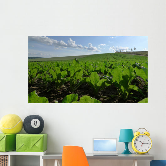 Sugar Beet Field Wall Decal