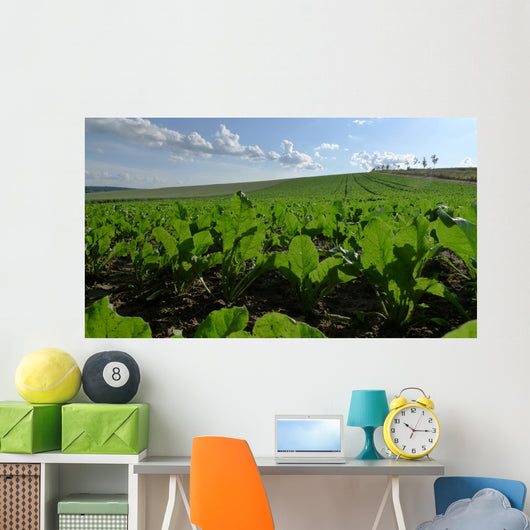 Sugar Beet Field Wall Decal
