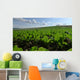 Sugar Beet Field Wall Decal