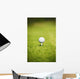 Golf Ball On A Tee Wall Mural