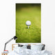 Golf Ball On A Tee Wall Mural