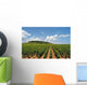 Vineyard with Rows Grapes Wall Decal