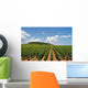 Vineyard with Rows Grapes Wall Decal