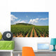 Vineyard with Rows Grapes Wall Decal