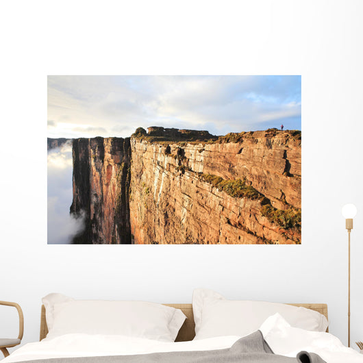 Sheer Cliffs Mount Roraima Wall Decal