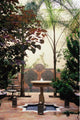 Jardin Riad Wall Decal