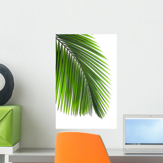 Leaves Palm Tree Wall Decal Design 2