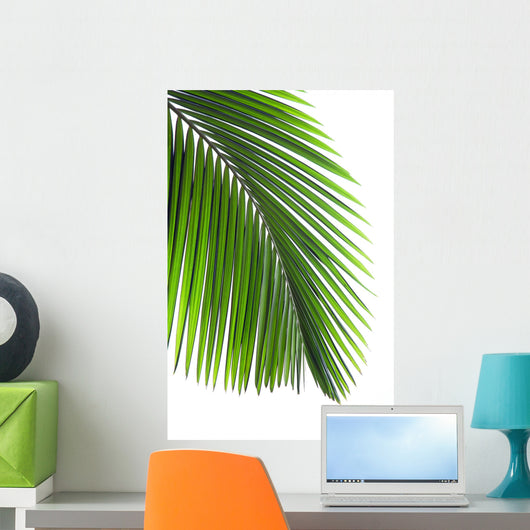 Leaves Palm Tree Wall Decal Design 2