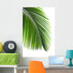 Leaves Palm Tree Wall Decal Design 2