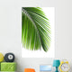 Leaves Palm Tree Wall Decal Design 2