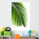 Leaves Palm Tree Wall Decal Design 2