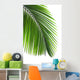 Leaves Palm Tree Wall Decal Design 2