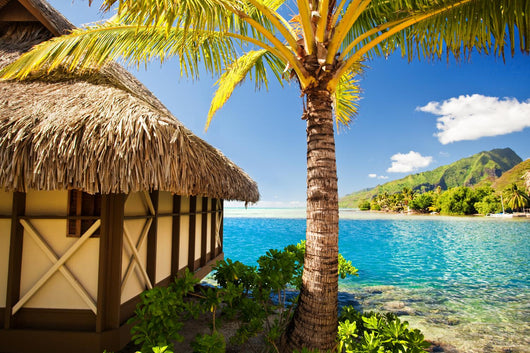 Tropical Bungalow and Palm Wall Decal