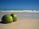 Coconuts Beach Wall Decal