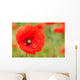 Perfect Red Poppy Wall Decal