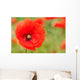 Perfect Red Poppy Wall Decal