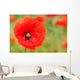 Perfect Red Poppy Wall Decal