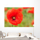 Perfect Red Poppy Wall Decal