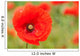 Perfect Red Poppy Wall Decal
