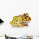 Horned Frog Wall Decal