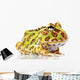Horned Frog Wall Decal