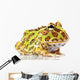 Horned Frog Wall Decal