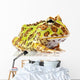 Horned Frog Wall Decal