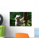 Koalabar Wall Decal