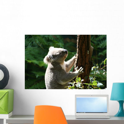 Koalabar Wall Decal shown on a wall