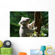 Koalabar Wall Decal