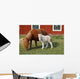 Mare with Foal Wall Decal