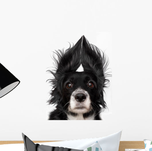 Dog Wall Decal Design 1
