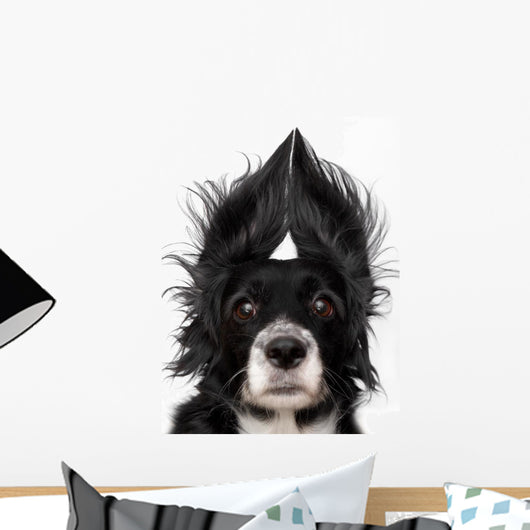 Dog Wall Decal Design 1