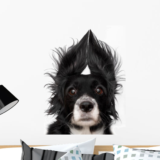 Dog Wall Decal Design 1
