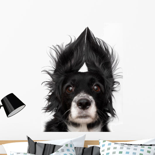 Dog Wall Decal Design 1