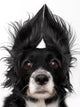 Dog Wall Decal Design 1