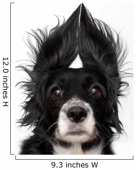Dog Wall Decal Design 1