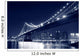 Manhattan Bridge and Manhattan Wall Decal