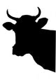 Cow Head Wall Decal