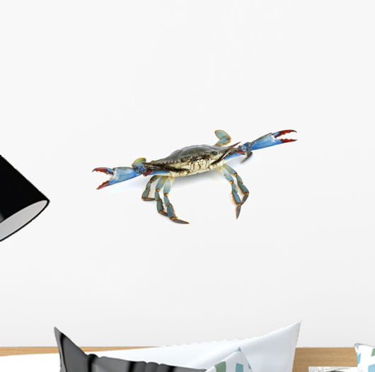 Live Blue Crab Wall Decal