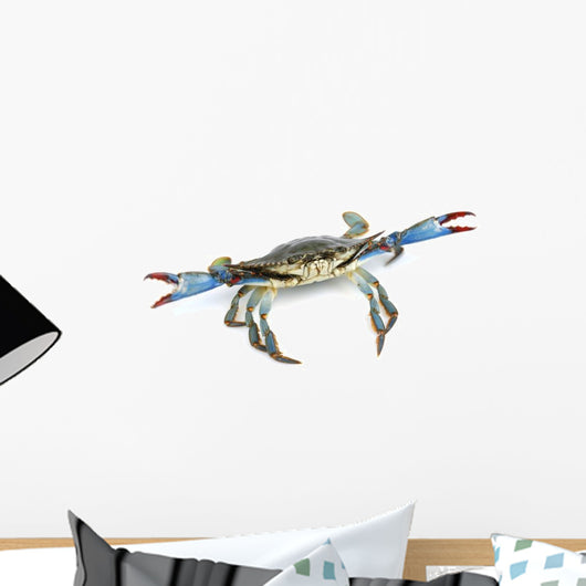 Live Blue Crab Wall Decal