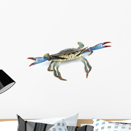 Live Blue Crab Wall Decal