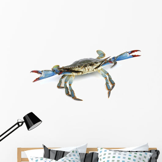 Live Blue Crab Wall Decal