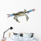 Live Blue Crab Wall Decal