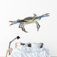 Live Blue Crab Wall Decal
