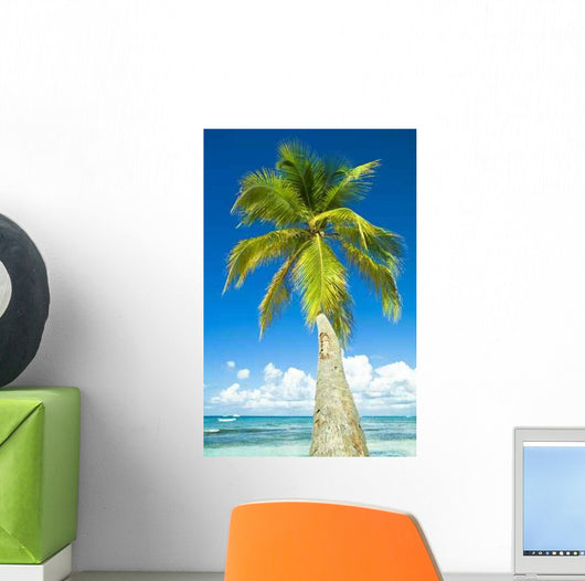 Coconut Wall Decal