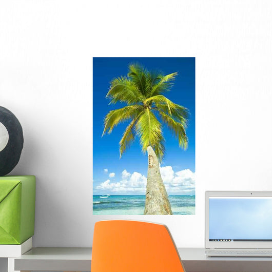 Coconut Wall Decal