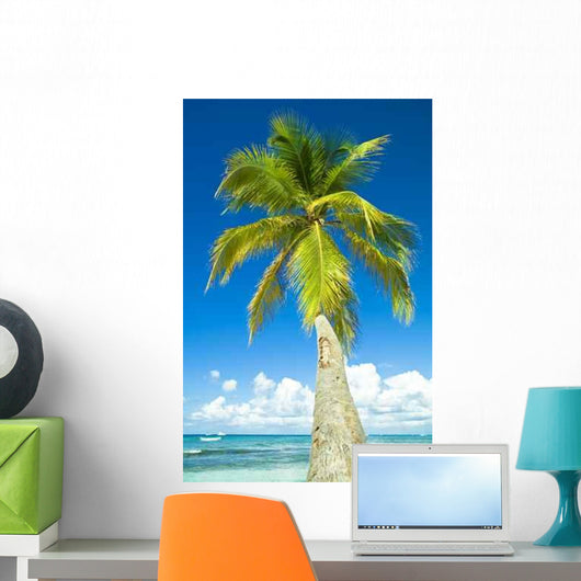 Coconut Wall Decal